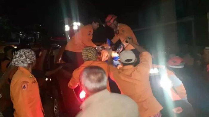 Dua Orang Tewas dan Seorang Luka-luka Akibat Tertimpa Pohon Beringan Tumbang