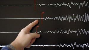 20150728-gempa-bumi_20150728_132155.jpg