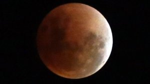 20180131berita-foto-warga-saksikan-gerhana-bulan-di-monas17_20180131_235426.jpg