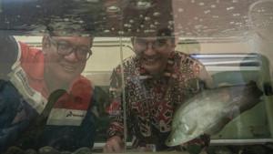 BUDIDAYA-IKAN-Ikan-Belida-Lopis.jpg
