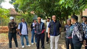 Budi-Legowo-meninjau-langsung-kawasan-pertanian.jpg