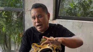 Hotman-Paris-kena-tipu.jpg