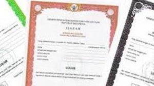 Ilustrasi-Ijazah-SD-SMP-SMA.jpg