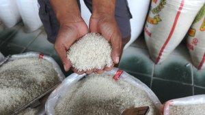 Kualitas-Beras-Di-Pasar-Induk-Cipinang.jpg