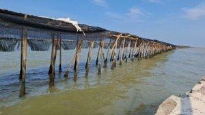 Pagar-laut-di-pesisir-Desa-Kronjo-Kecamatan-Kronjo-Kabupaten-Tangerang-Jumat-1012025.jpg