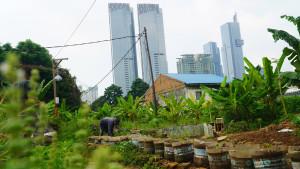 Pemanfaatan-Lahan.jpgLahan-Tidur.jpgmenjadi-andalan.jpgmemenuhi-kebutuhan.jpgkegiatan-apapun.jpg