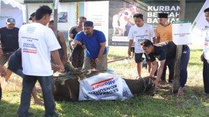 Penyembelihan-hewan-kurban-oleh-Baznas-dan-Alfamart.jpg