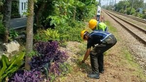 Petugas-PT-Kereta-Api-Indonesia-KAI-Daerah-Operasi-1-Jakarta-tengah-merawat-area-hijau-di-stasiun.jpg