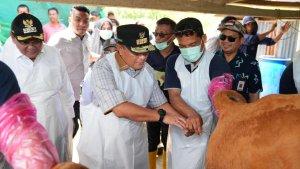 Pj-Gubernur-Sulsel-melakukan-program-inseminasi-buatan-ternak-sapi.jpg