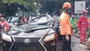Pohon-Tumbang-pondok-indah-tewaskan-satu-orang.jpg