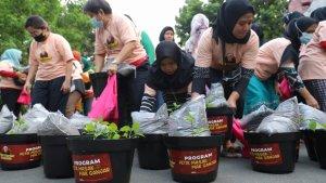 Program-Petik-Masak-Budidaya-Pohon-Cabai-dilaksanakan-di-Meruya-Kembangan-Jakarta-Barat.jpg