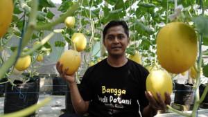 Samsul-pelaku-budi-daya-melon-hidroponik.jpg