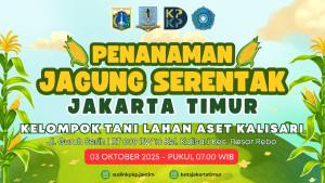 Suku-Dinas-KPKP-Jakarta-Timur-bakal-menanam-jagung-serentak-di-10-kecamatan-Jumat-3102025.jpg