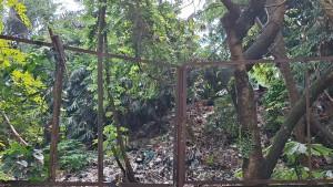TPS-liar-di-pinggiran-Sungai-Cipinang.jpg