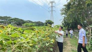 Urban-Farming-di-Duri-Kosambi.jpg