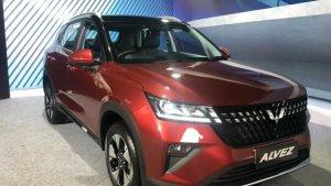 Wuling-Alvez-type-EX.jpg