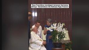 anggrek-paus.jpg