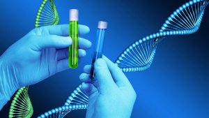 dna_20181103_173916.jpg