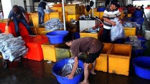 pelelangan-ikan.jpg