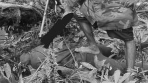 pembantaian-di-Papua-Barat098.jpg