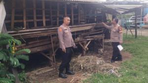 polisi-di-tkp-kambing.jpg