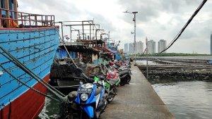 suasana-gang-kepiting-pelabuhan-muara-baru.jpg