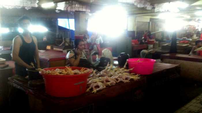 Harga Ayam Potong Rp 55.000, tapi Kecil-kecil