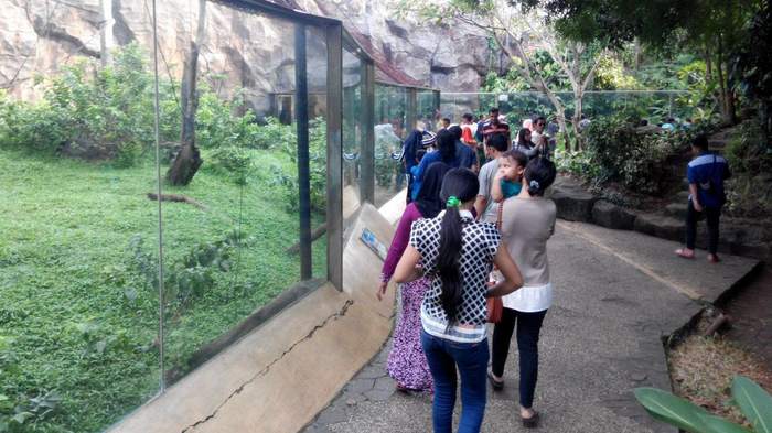28.961 Pengunjung Padati TMR Ragunan