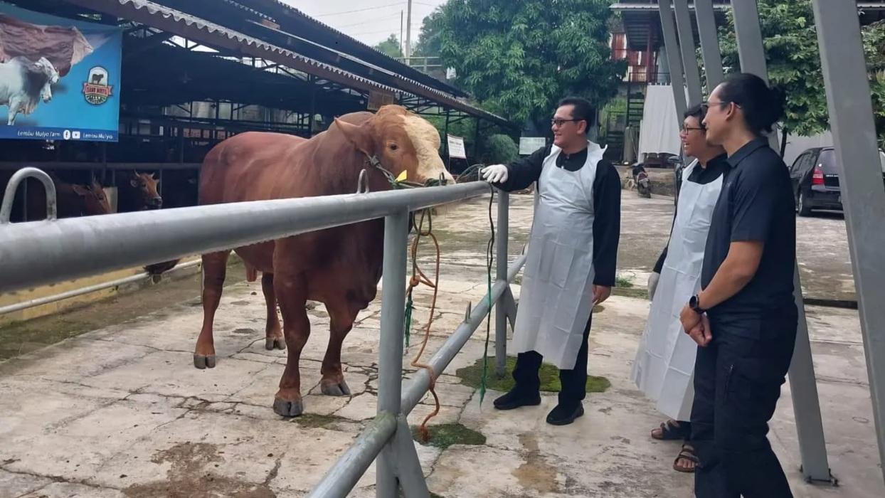 DKP3-Depoksidak-hewan-kurban-Jumat.jpg