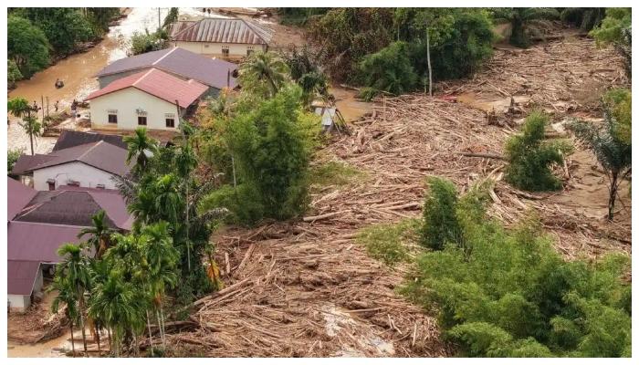 wartakota/Gelondongan-kayu-tampak-berserakan-di-area-banjir-bandang-di-Kabupaten-Tapanuli-Selatan.jpg