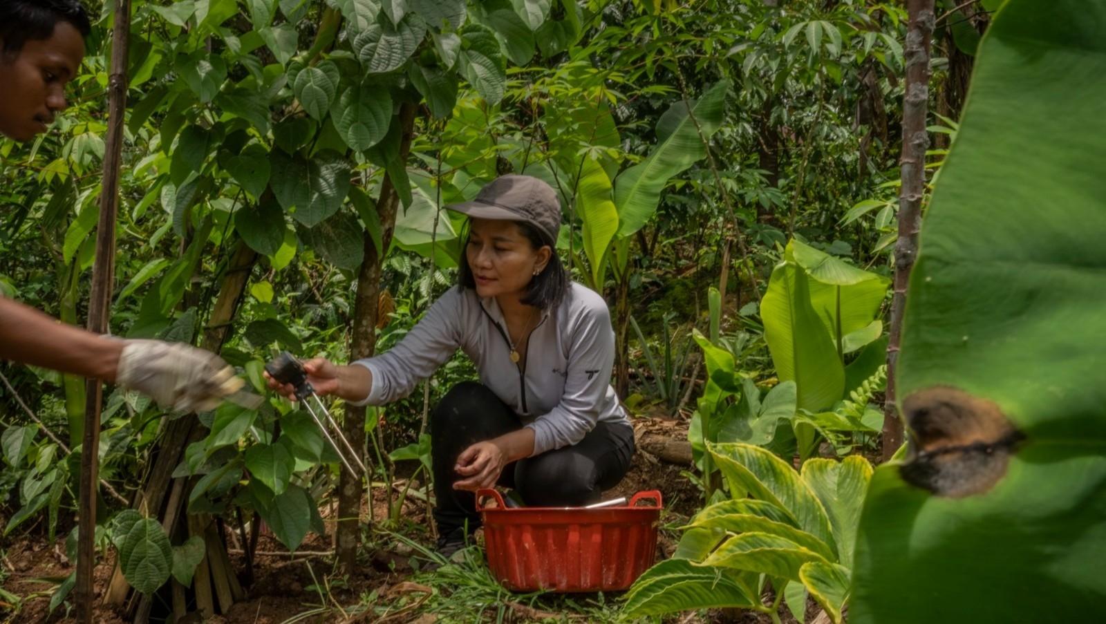PepsiCo-National Geographic Danai Riset Global, Soroti Inovasi Pertanian Berbasis AI di Indonesia