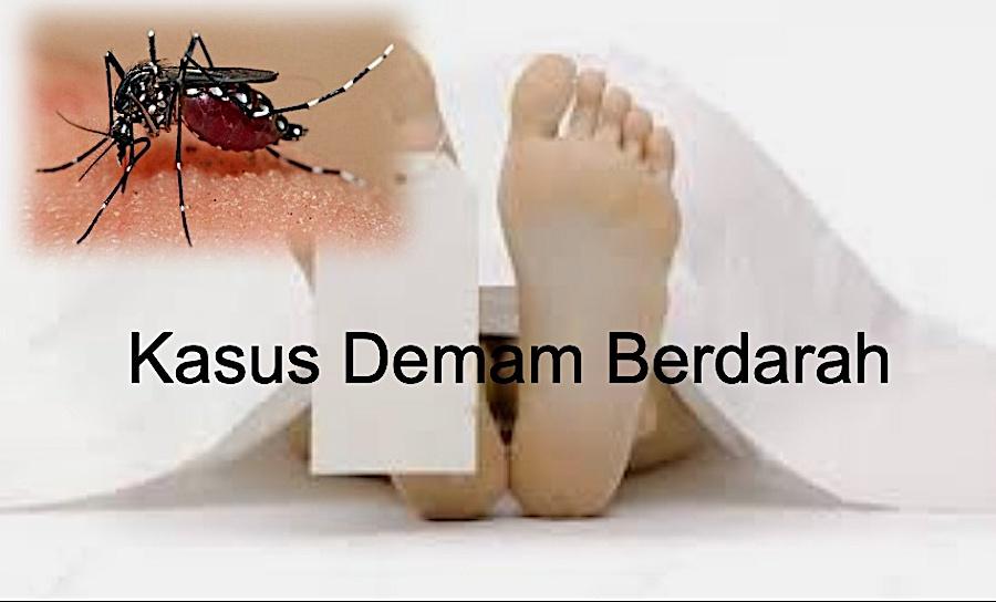 Kasus DBD Meningkat di Kabupaten Bogor, 14 Orang Meninggal, Kecamatan Cibinong Paling Tinggi