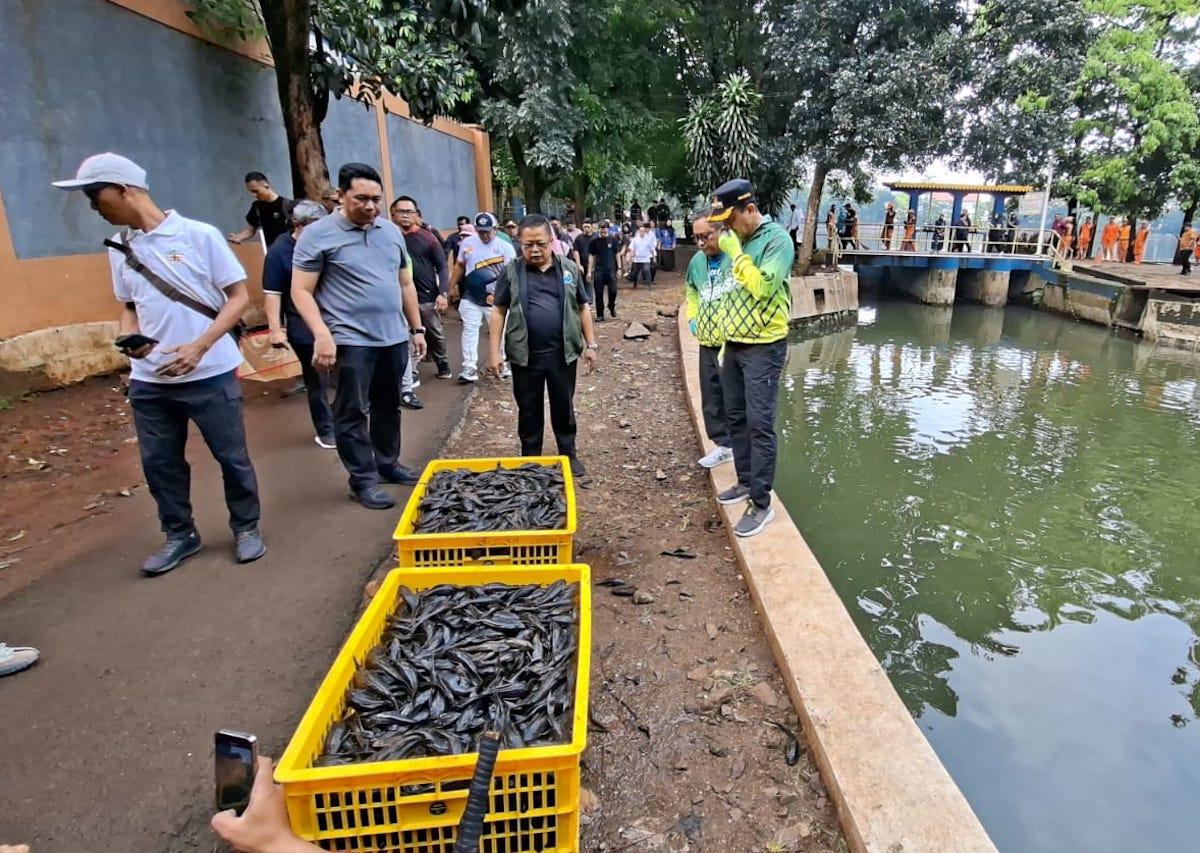 763 Kilogram Ikan Sapu-sapu Ditangkap di 10 Tempat di Jakarta Timur