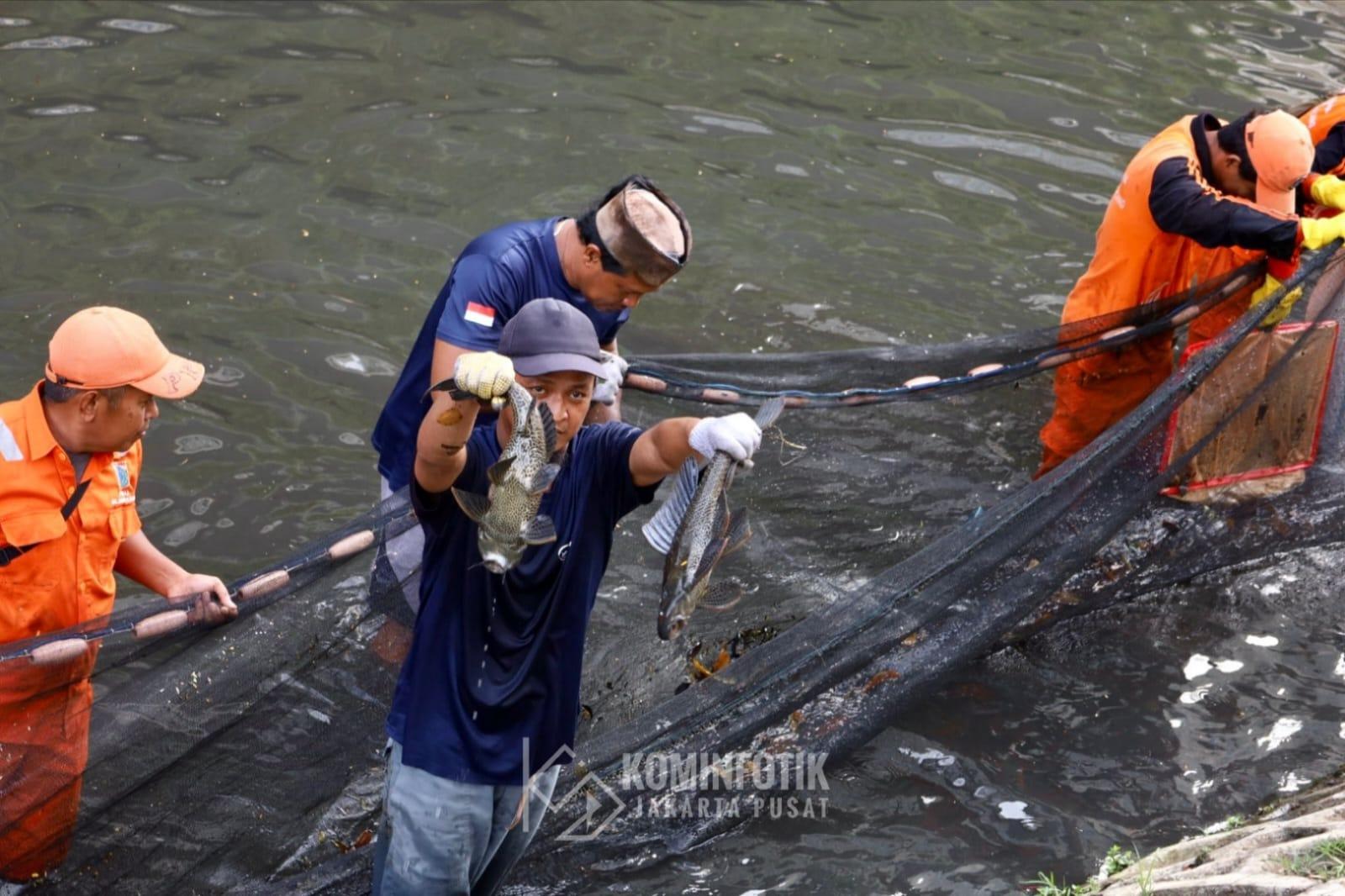 PEMBASMIAN-IKAN-SAPU-SAPU-di-Kali-Cideng-tepatnya-di-depan-Plaza-Indonesia.jpg