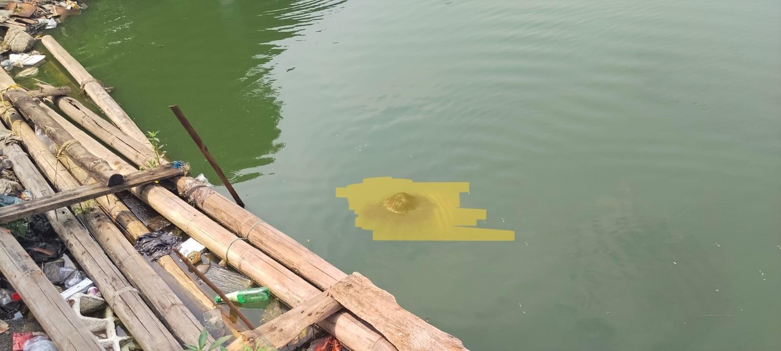 Warga Ciracas Heboh, Mayat Pria Ditemukan Mengapung di Kali Rawa Bambon - Wartakotalive.com