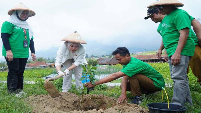 Saat Kelestarian Hutan Menjadi Kunci, PNM Mengajak Menjaga Bersama Kehidupan