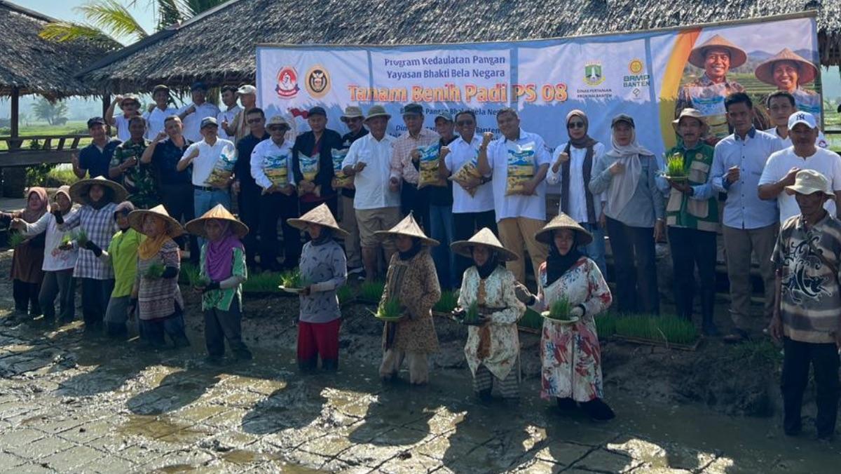 Perkuat Ketahanan Pangan, Penanaman Bibit Padi Unggul di Carita Banten Libatkan Petani Lokal