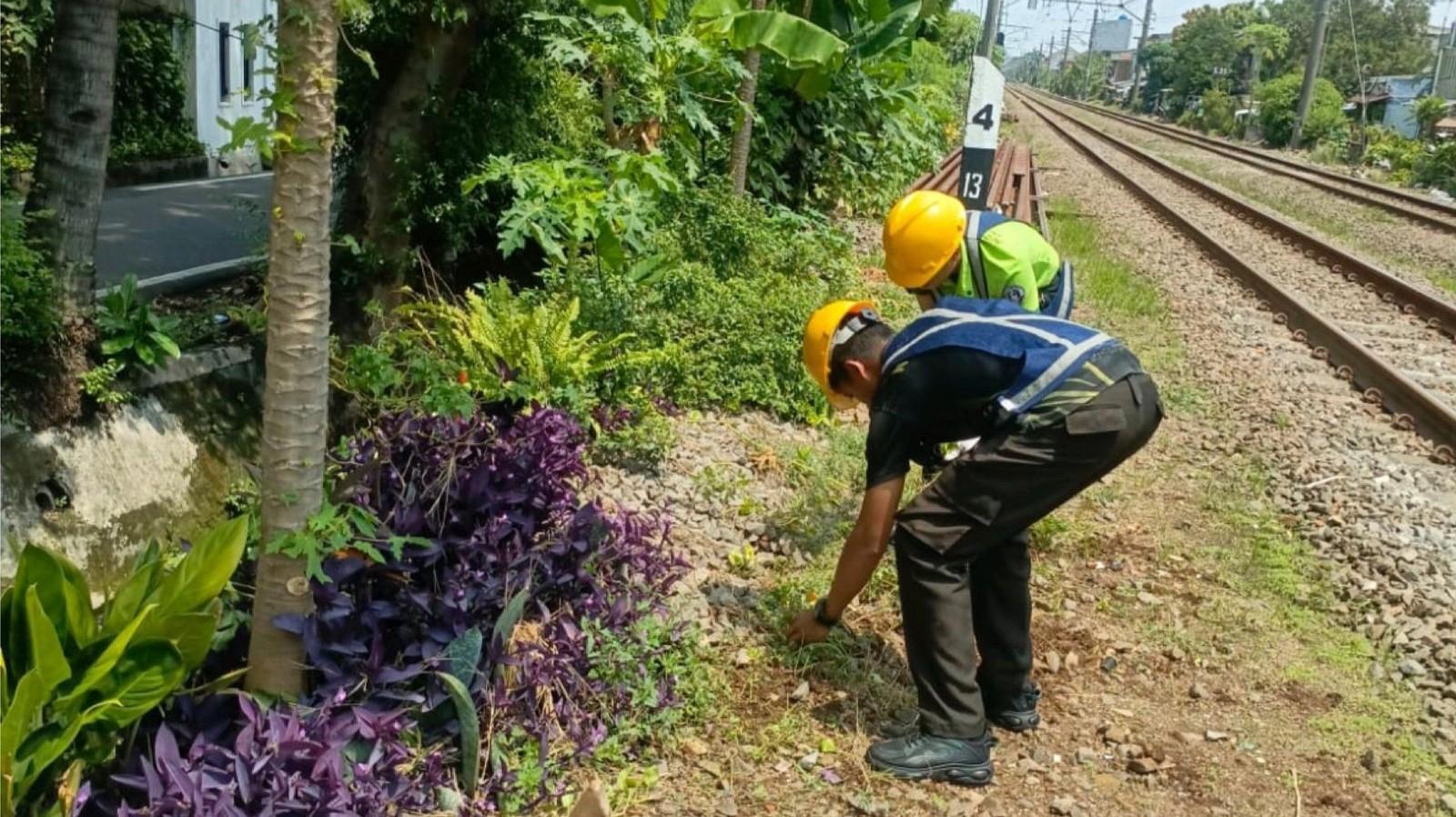 Petugas-PT-Kereta-Api-Indonesia-KAI-Daerah-Operasi-1-Jakarta-tengah-merawat-area-hijau-di-stasiun.jpg