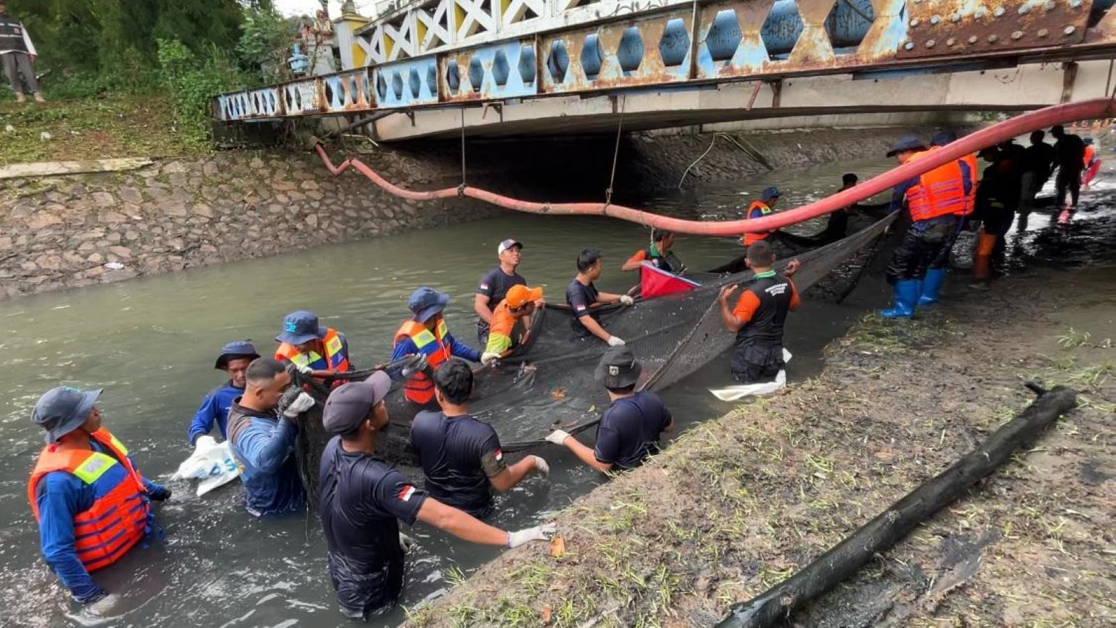 Berantas Ikan Sapu-sapu, Pemprov Jakarta Wacanakan Gandeng Bogor-Bekasi 