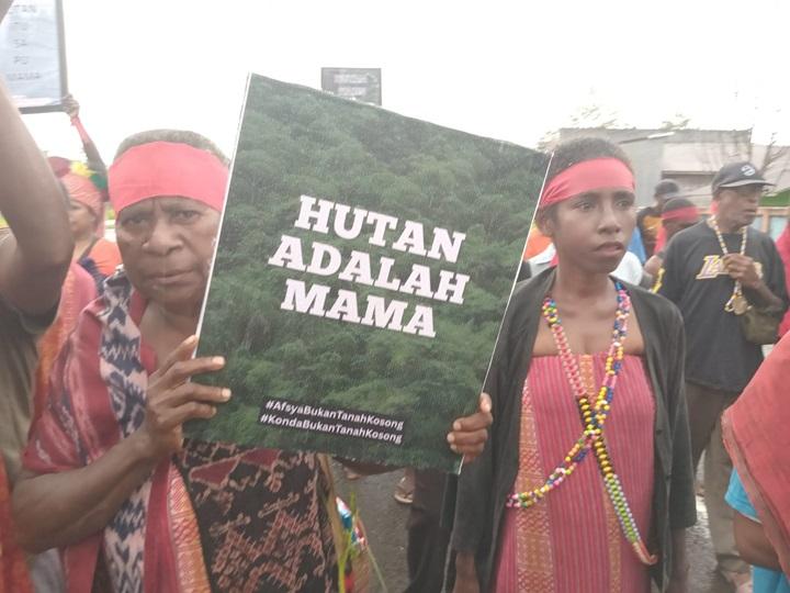 Ternyata 235 Ribu Hektar Lahan di Papua Sudah Ditanam Sawit