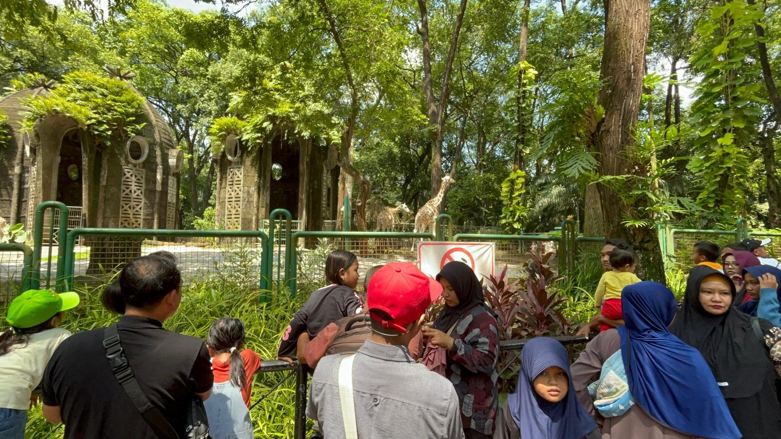 Suasana-Taman-Margasatwa-Ragunan-Pasar-Minggu-Jakarta-Selatan-pada-Kamis-25122025.jpg