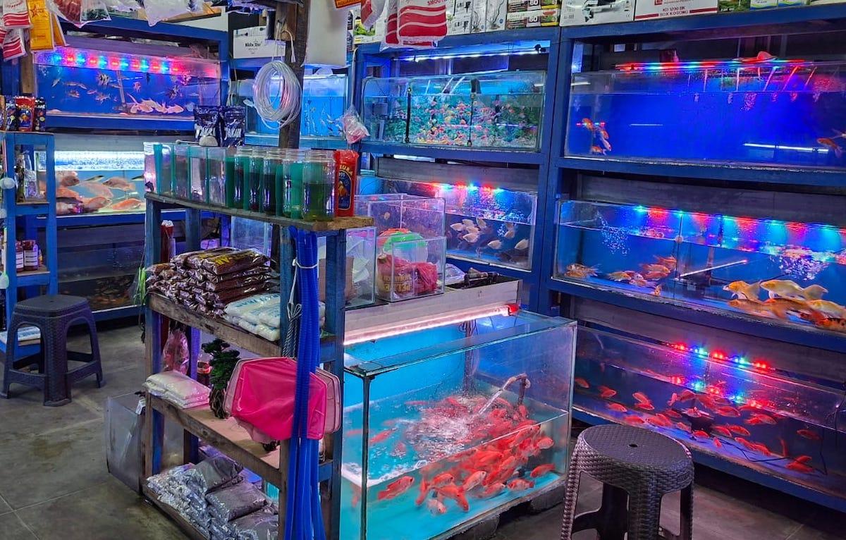 Taman-SeCawan-Depok-pecinta-ikan-hias3.jpg