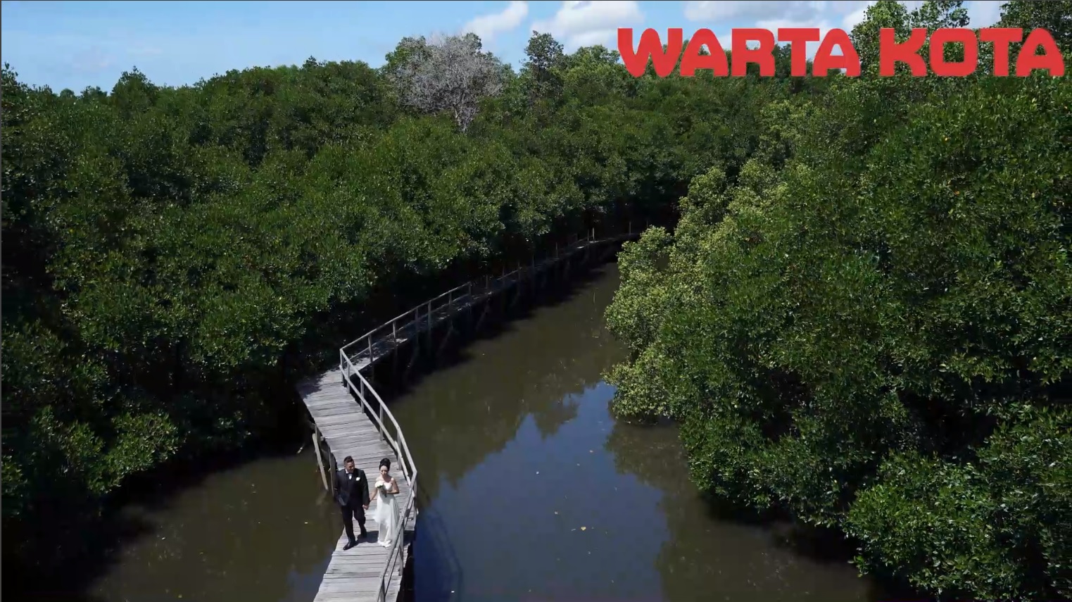 Program FoLU KLHK Tak Hanya Turunkan Emisi, Hanif Faisol Singgung Nilai Ekonomi pada Potensi Karbon