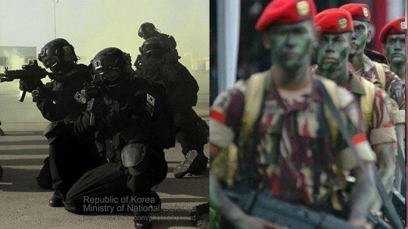 FAKTA Kopassus Masih Bisa Unggul saat Latihan di Medan Ekstrim Bersalju Bareng Pasukan Khusus Korea