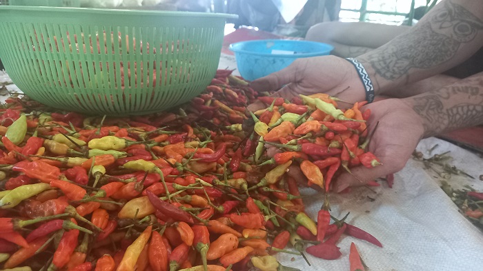 Harga Cabai di Depok Melambung Tinggi, Ini yang Dilakukan Pedagang Pecel Lele Agar Tetap Laku