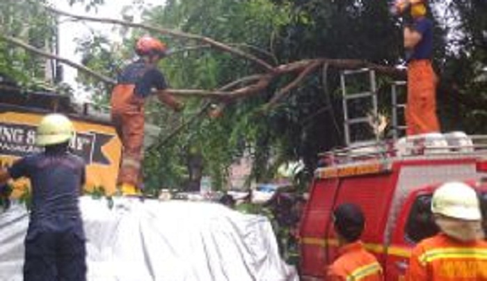 Hujan Disertai Angin Kecang, Dahan Pohon Tumbang Timpa Mobil dan Warung