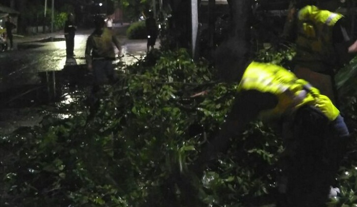 Sebuah Rumah Tertimpa Pohon di Setiabudi, Evakuasinya 5 Jam