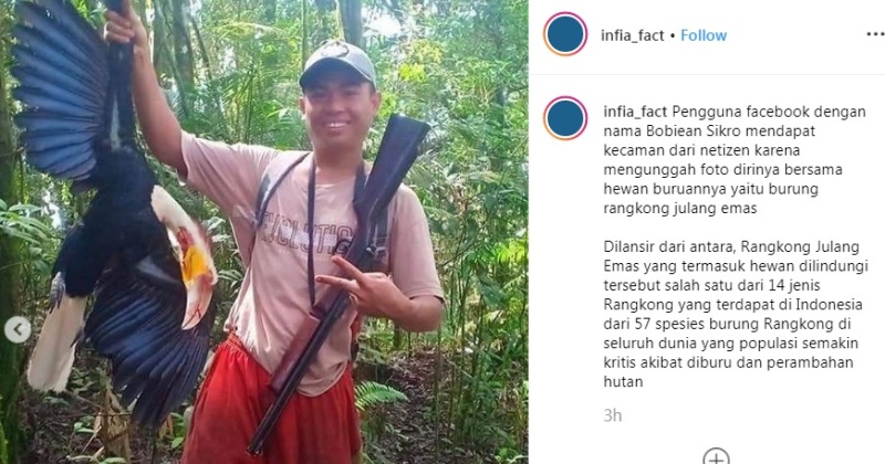Tembak Burung Langka & Dilindungi, Lalu Diposting di Facebook, Pria Berpeluang Dipenjara dan Dihujat