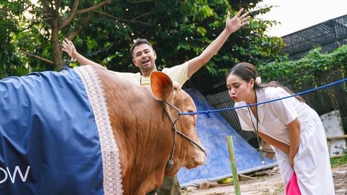 Raffi Ahmad dan Nagita Slavina Kurban Sapi Raksasa Seberat 1,1 Ton ...