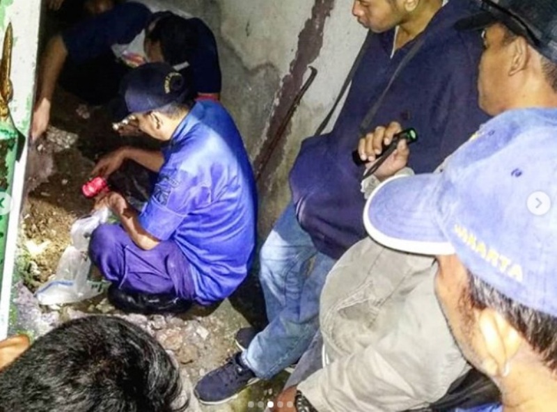 Petugas Bongkar Sarang Ular Raksasa Pemakan Manusia di Pemukiman Padat di Jagakarsa Jakarta Selatan